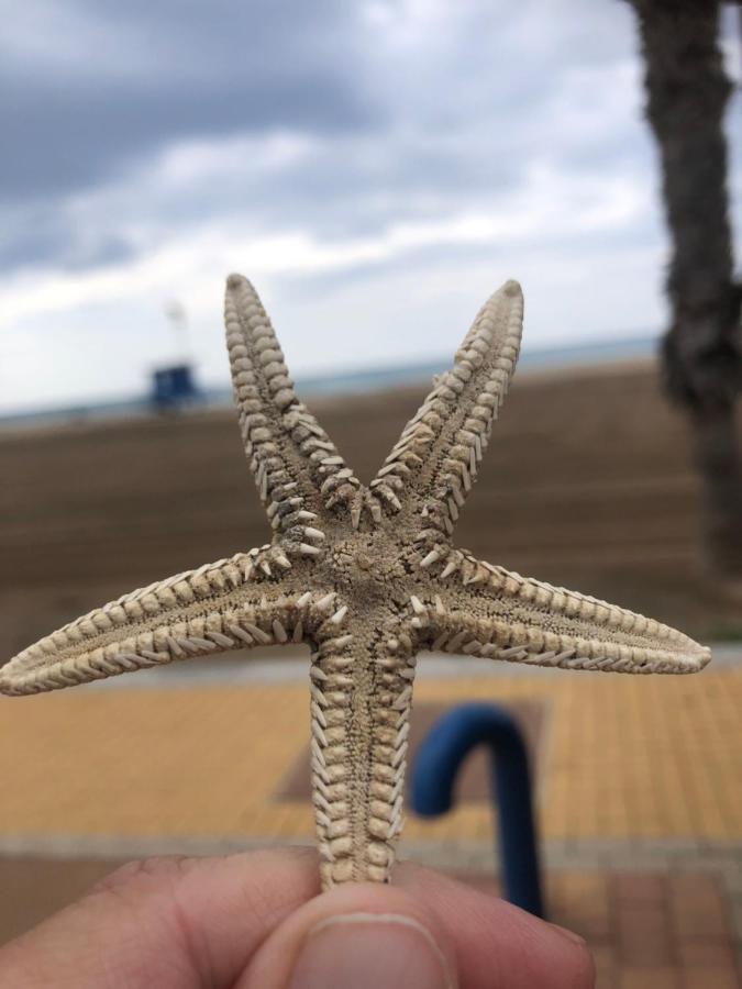 Casa Luna - Sea View Apartment 博尔钮乌 外观 照片
